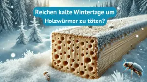 Holzwurm Frost